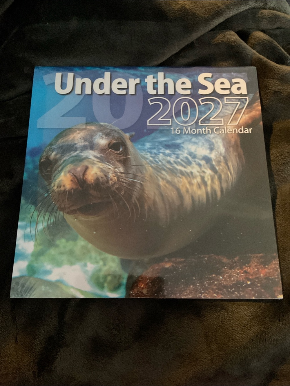 2027 Under The Sea Calendar